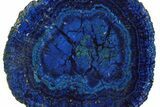 Vivid Blue, Cut/Polished Azurite Nodule - Siberia #209469-1
